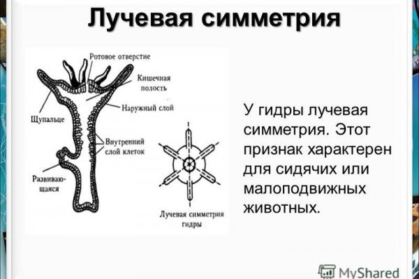 Годнотаба блэкспрут