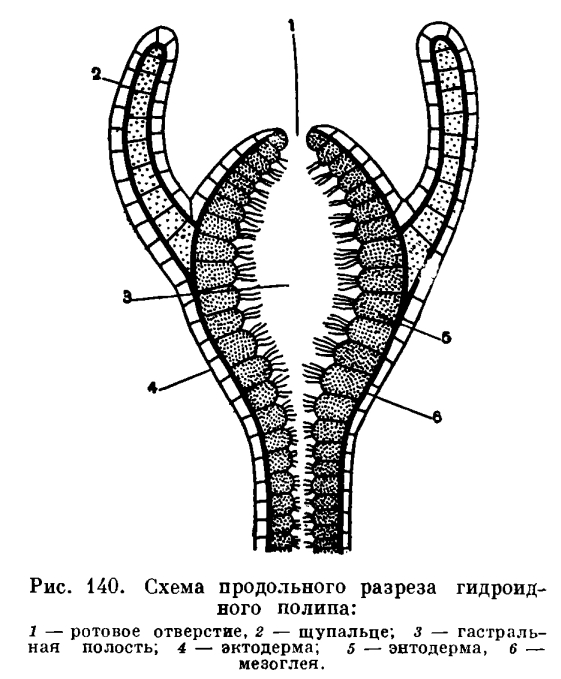 Ссылка на бс blacksprut wiki